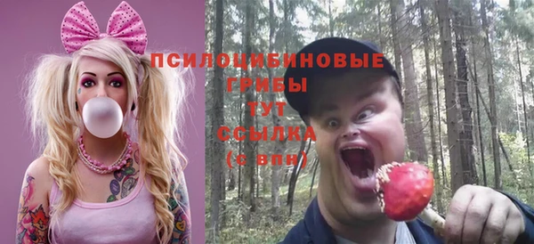 ALPHA-PVP Заводоуковск