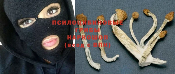 дмт Заволжье