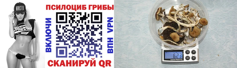 ссылка на мегу ссылка  Нея  Псилоцибиновые грибы Cubensis 